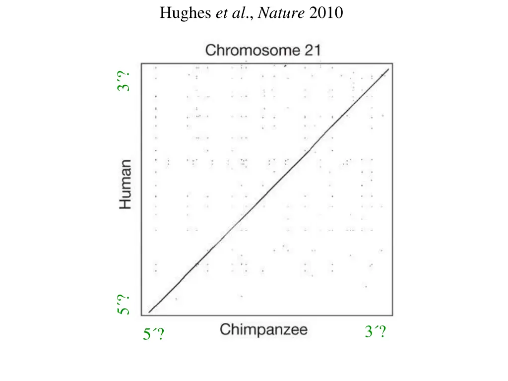 hughes et al nature 2010 1