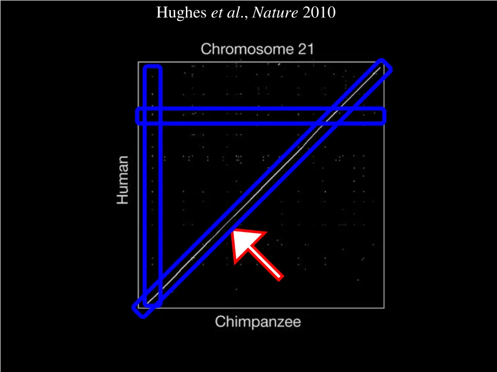 hughes et al nature 2010 2