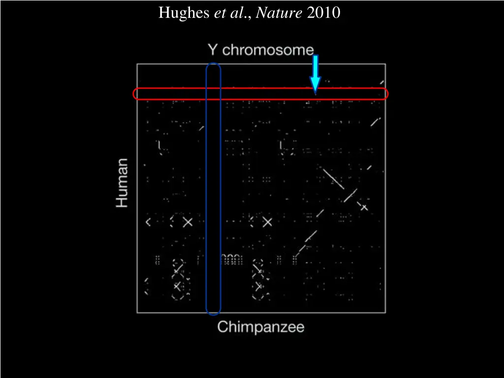 hughes et al nature 2010 3