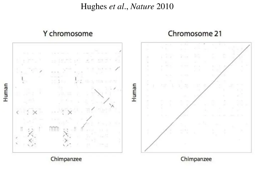 hughes et al nature 2010 4