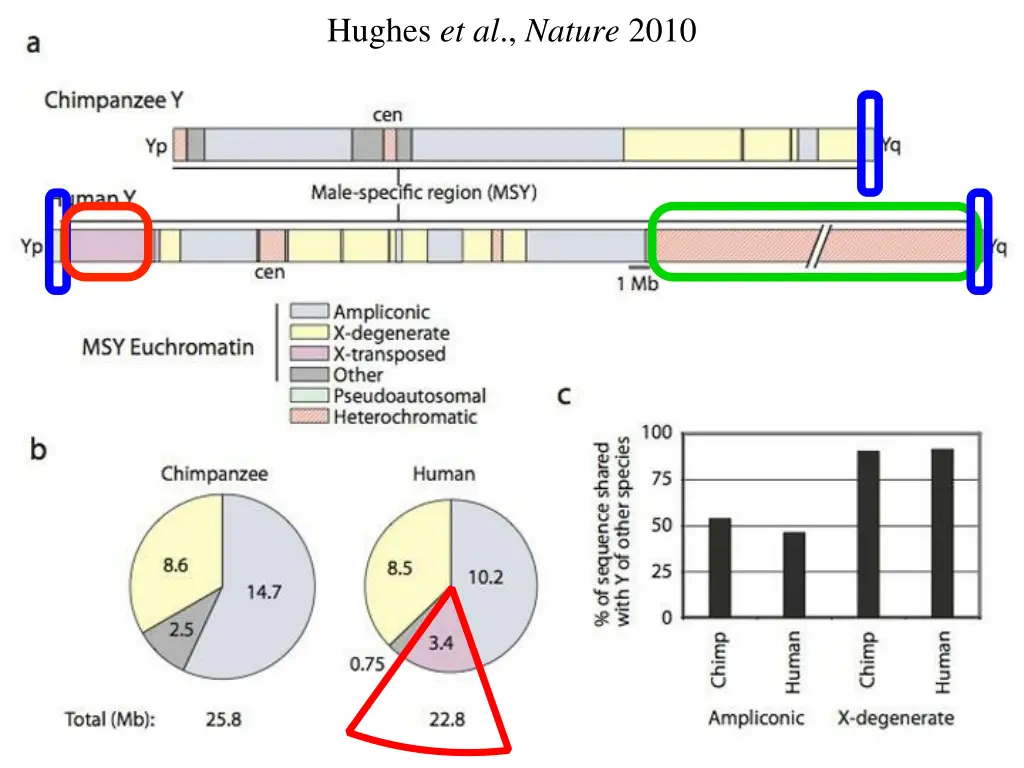 hughes et al nature 2010