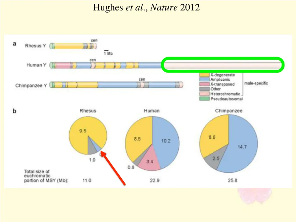 hughes et al nature 2012