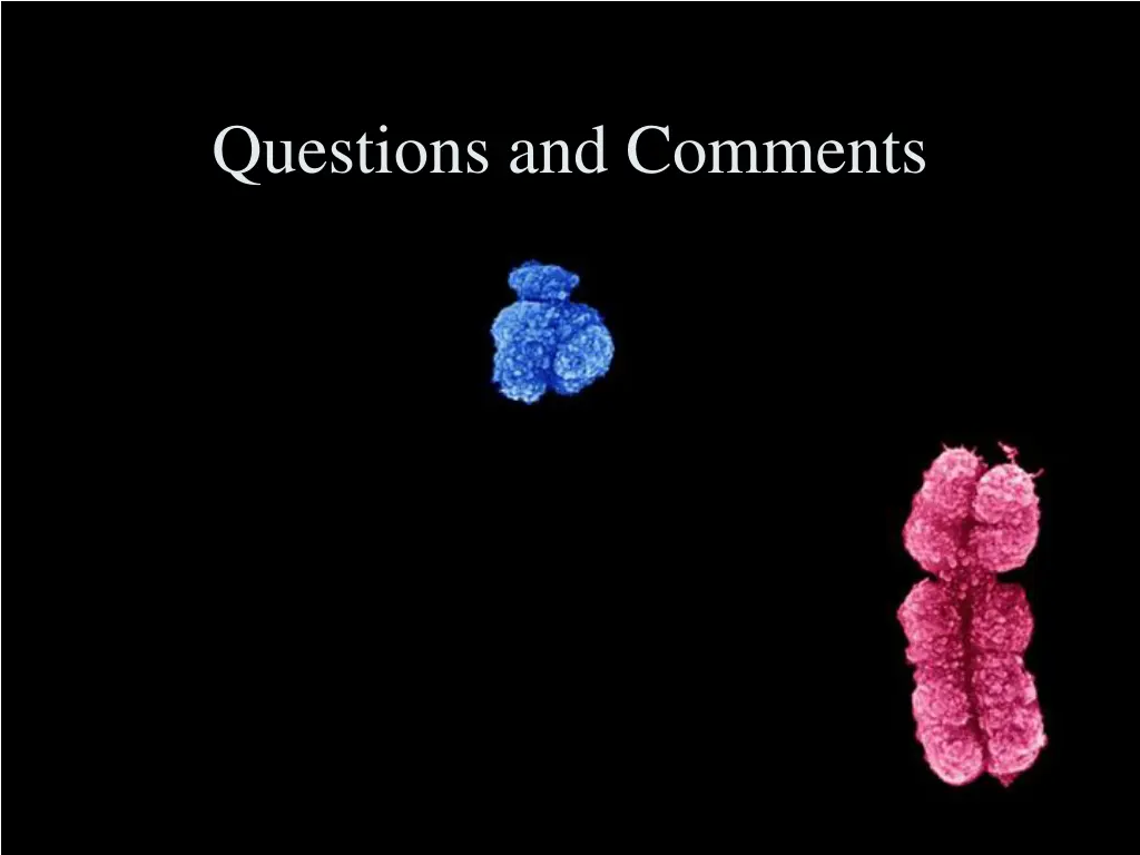 questions and comments