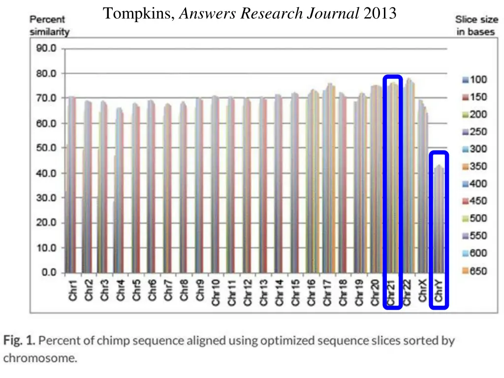 tompkins answers research journal 2013