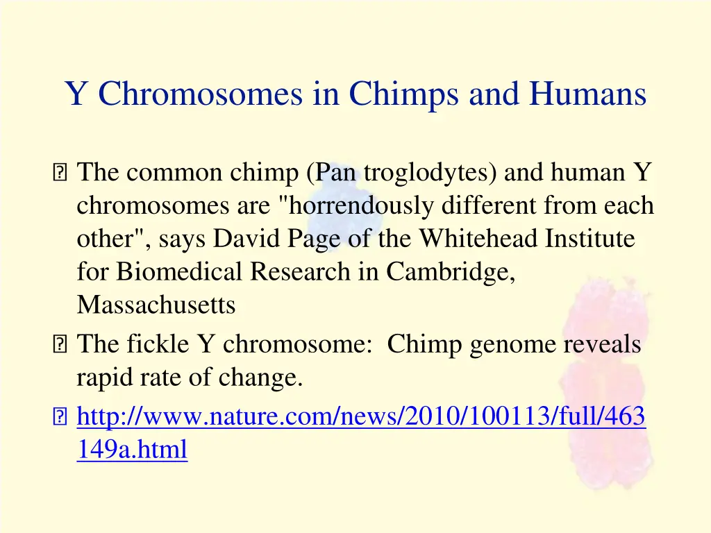 y chromosomes in chimps and humans 1