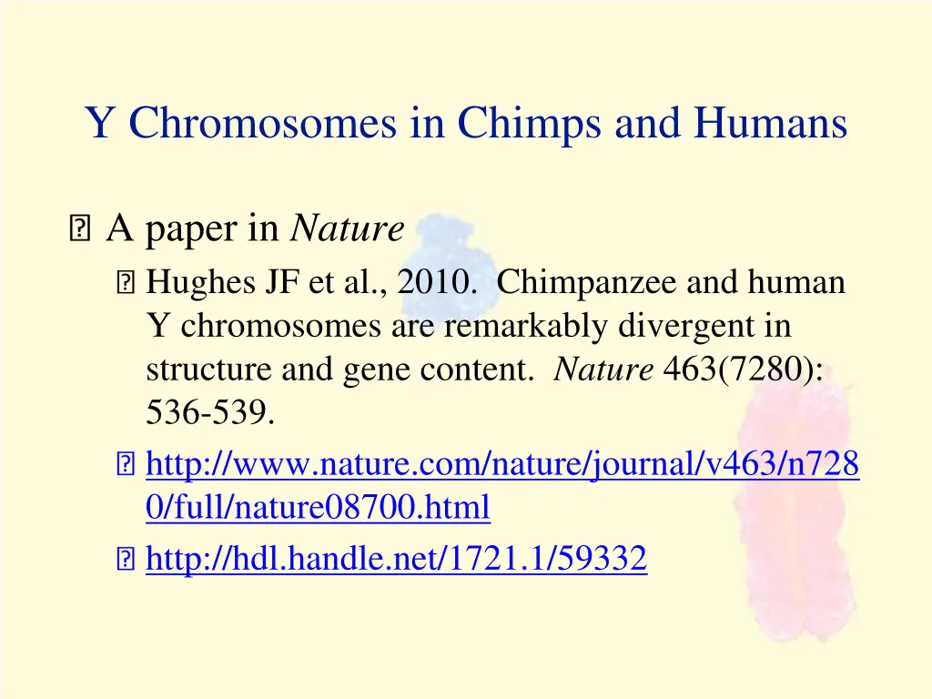 y chromosomes in chimps and humans 2