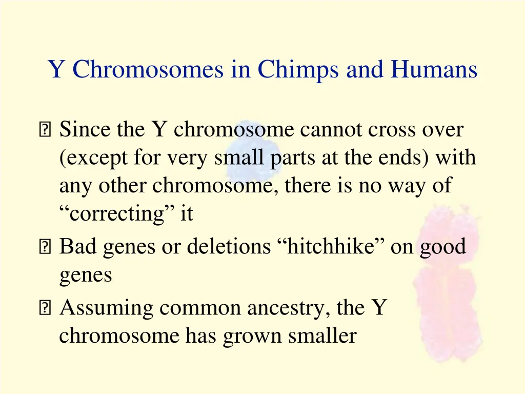 y chromosomes in chimps and humans 4