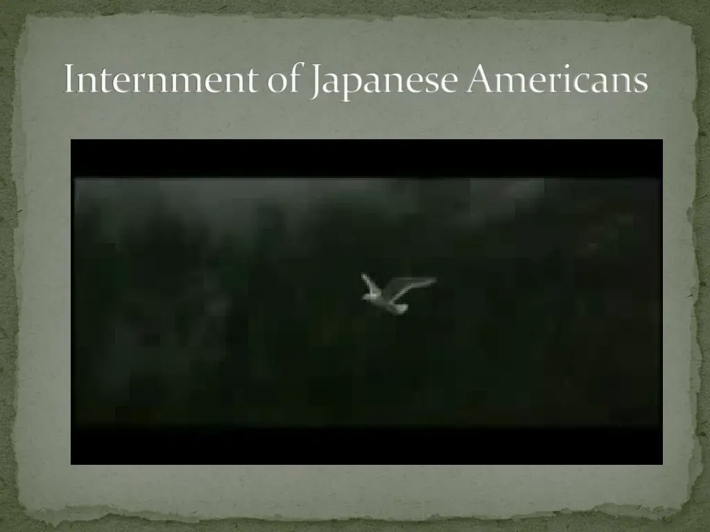 internment of japanese americans