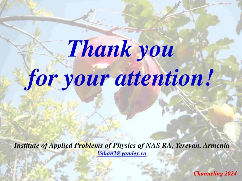 thank you for your attention