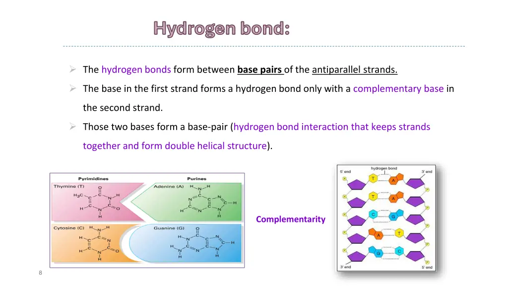 hydrogen bond hydrogen bond