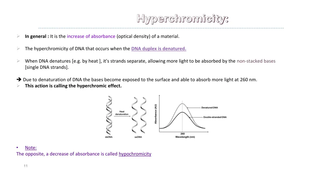 hyperchromicity hyperchromicity