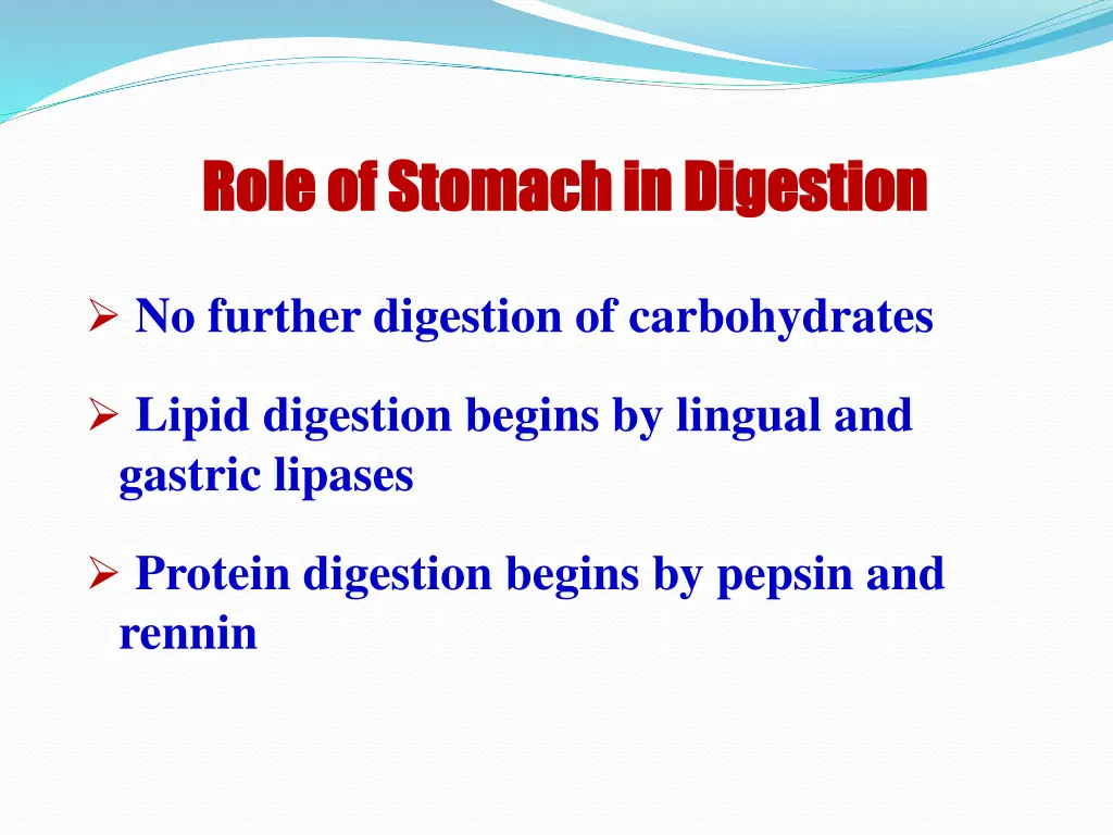 role of stomach in digestion role of stomach