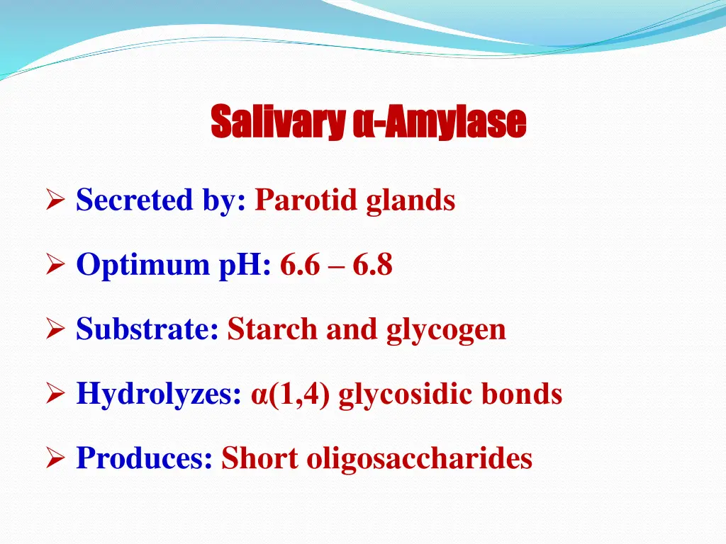 salivary salivary amylase