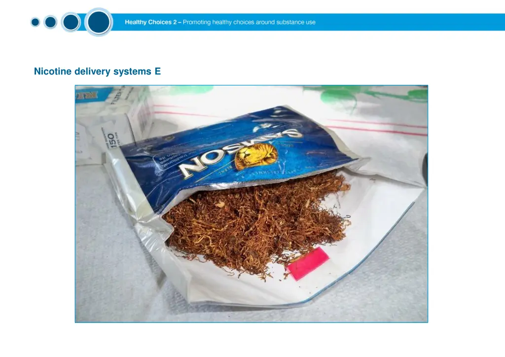 nicotine delivery systems e