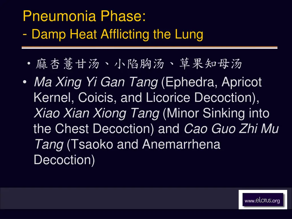 pneumonia phase damp heat afflicting the lung 1