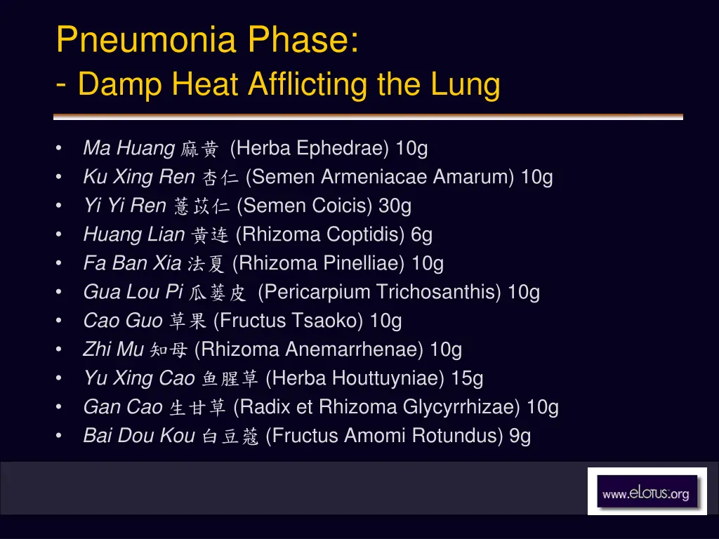 pneumonia phase damp heat afflicting the lung 2