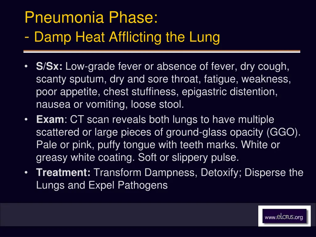 pneumonia phase damp heat afflicting the lung