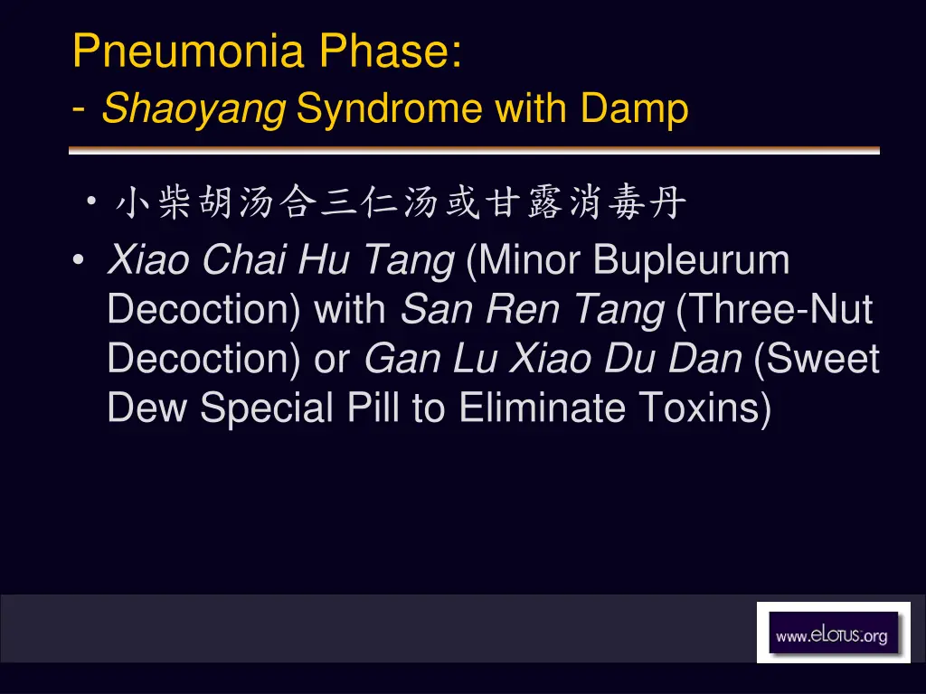 pneumonia phase shaoyang syndrome with damp 1