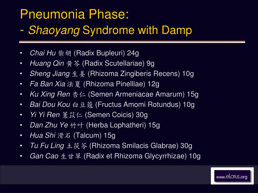 pneumonia phase shaoyang syndrome with damp 2