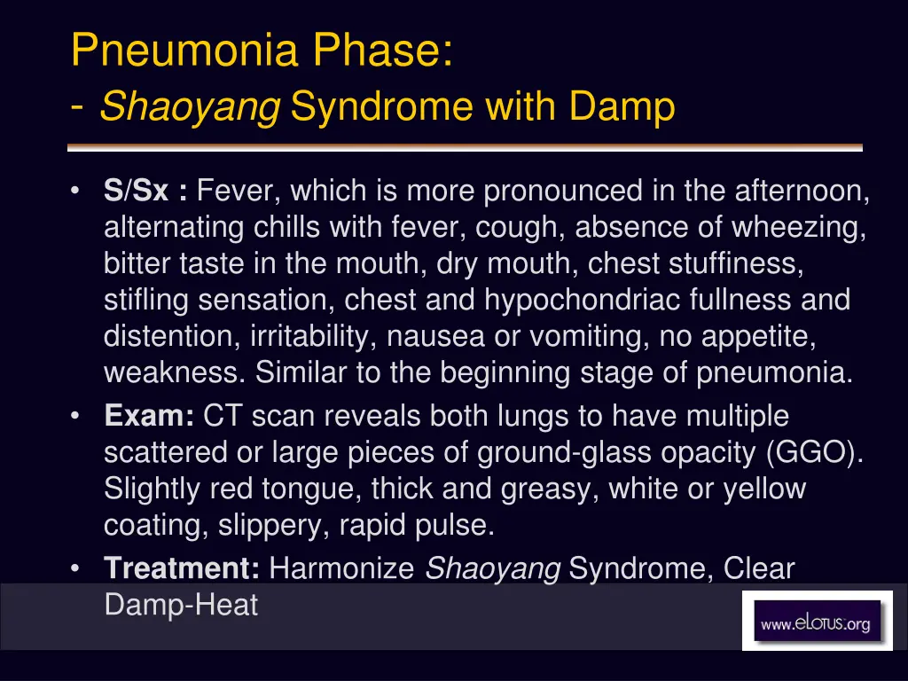 pneumonia phase shaoyang syndrome with damp