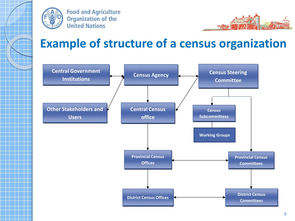example of structure of a census organization
