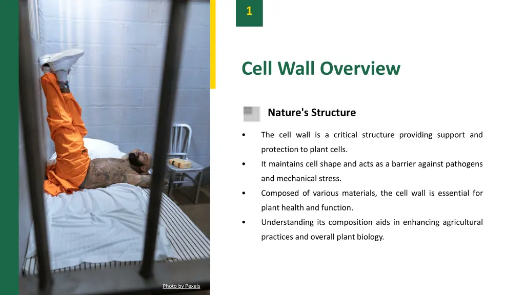slide3
