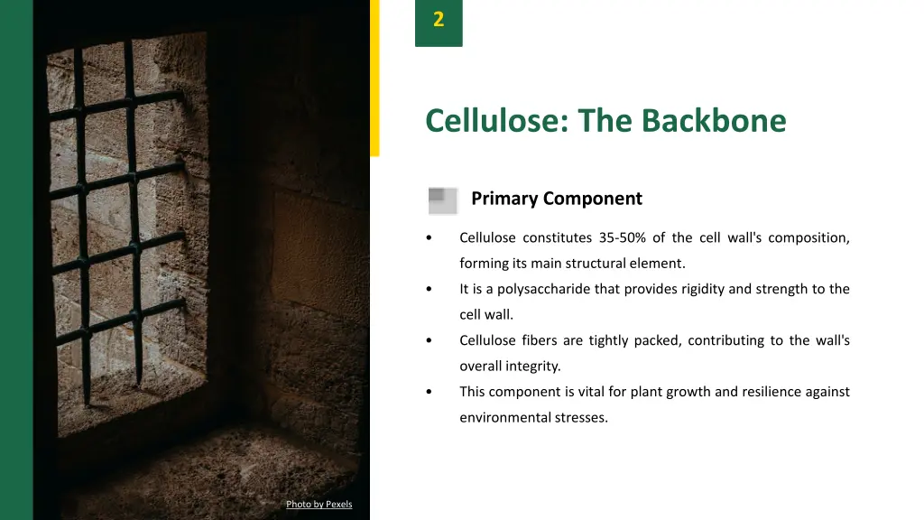 slide4