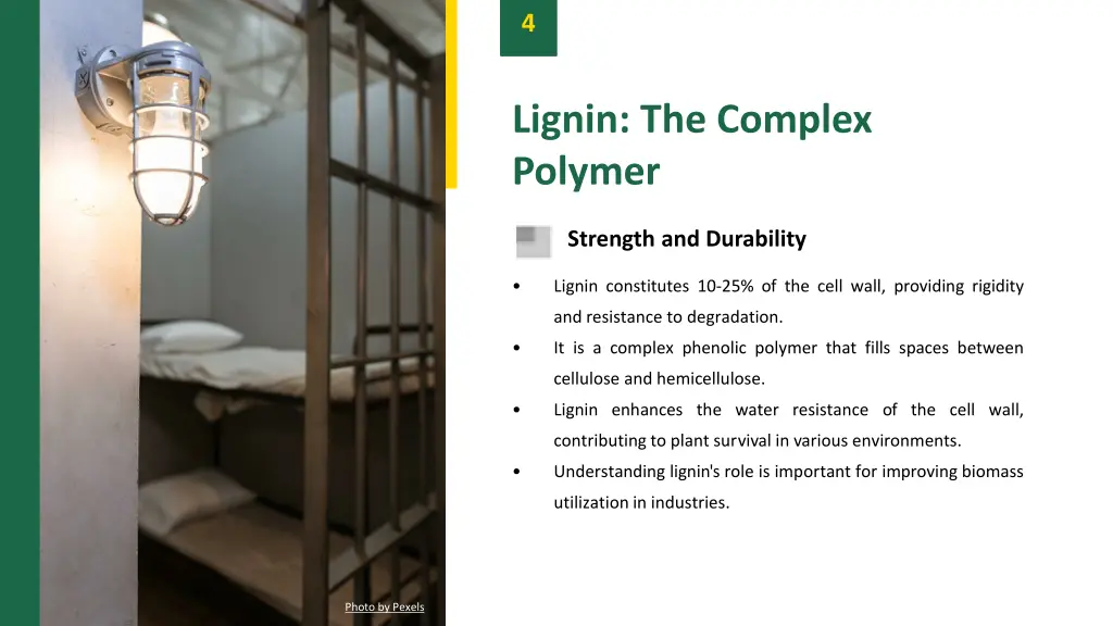slide6