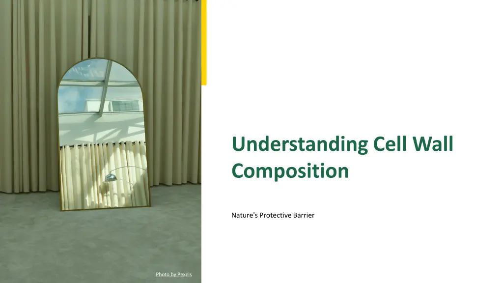 understanding cell wall composition