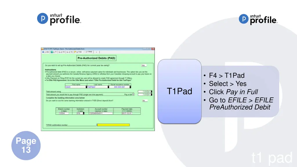 f4 t1pad select yes click pay in full go to efile