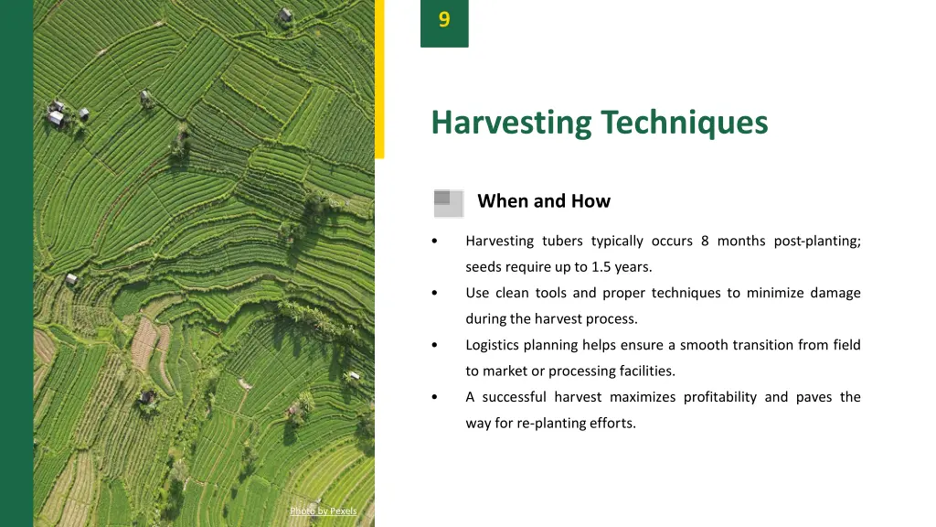 slide11