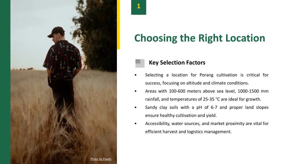 slide3