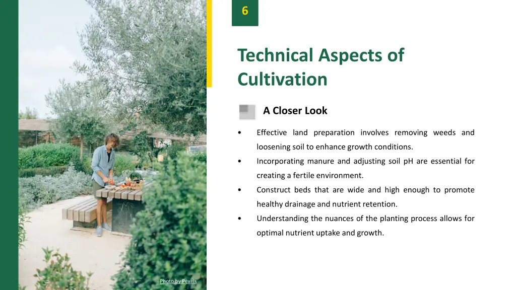 slide8