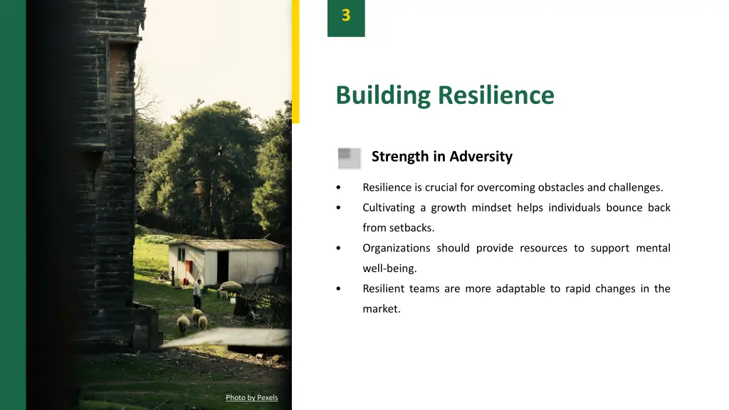 slide5