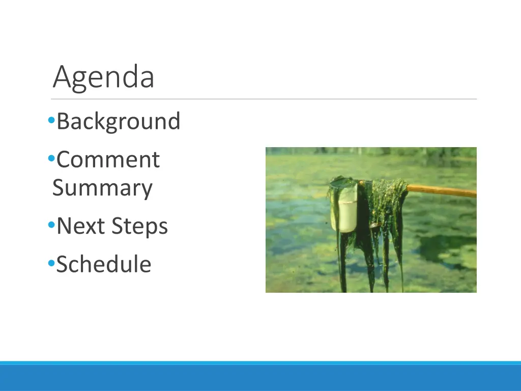 agenda background comment summary next steps
