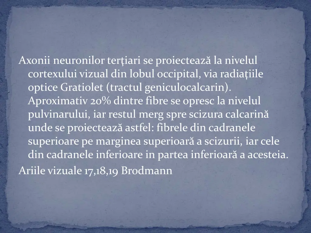axonii neuronilor ter iari se proiecteaz
