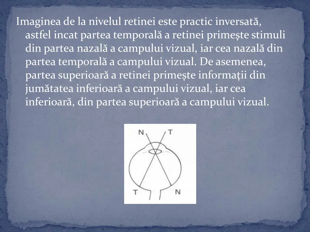 imaginea de la nivelul retinei este practic