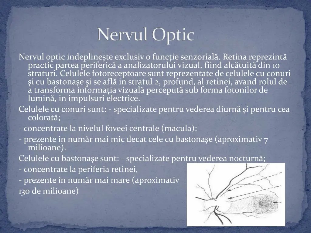 nervuloptic