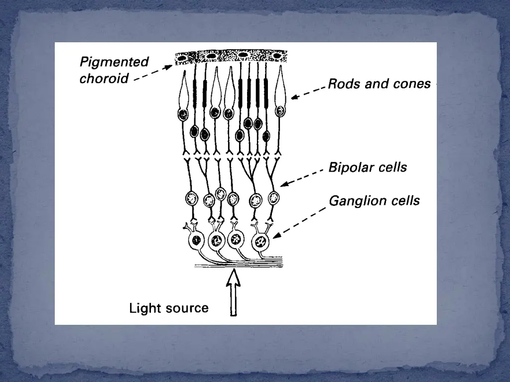 slide3