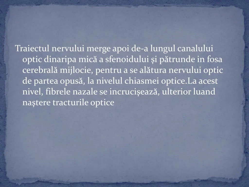 traiectul nervului merge apoi de a lungul