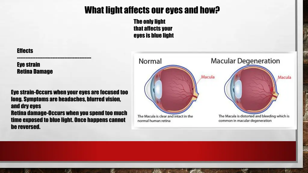 what light affects our eyes and how the only
