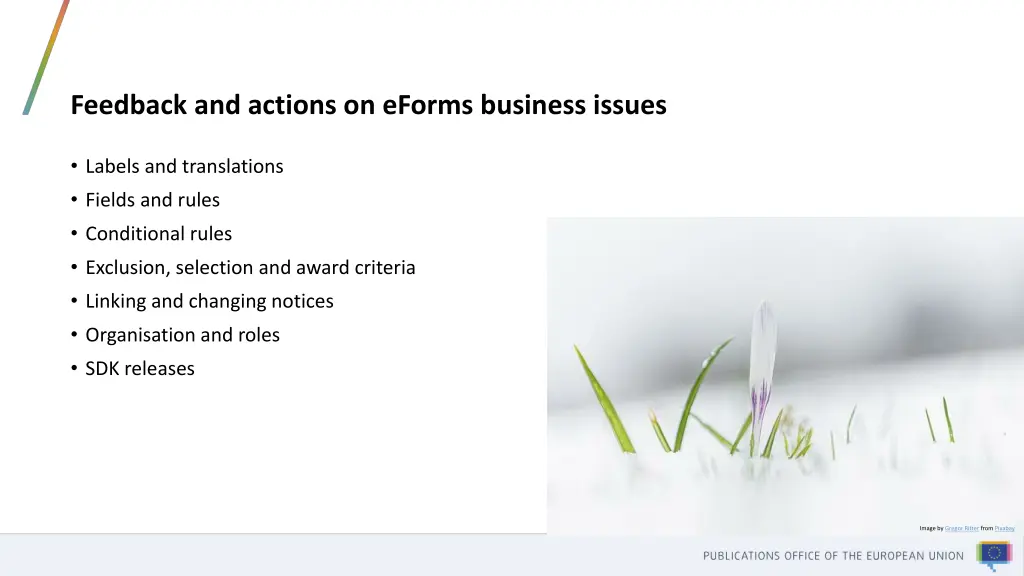 feedback and actions on eforms business issues