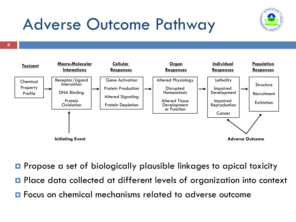 adverse outcome pathway 1