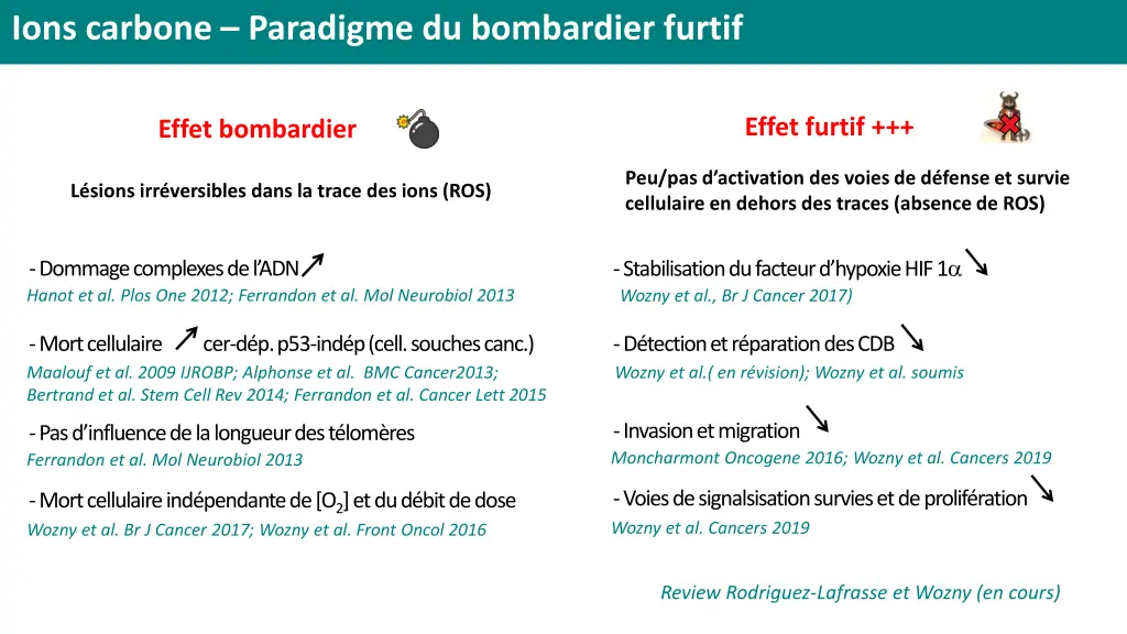 ions carbone paradigme du bombardier furtif 3