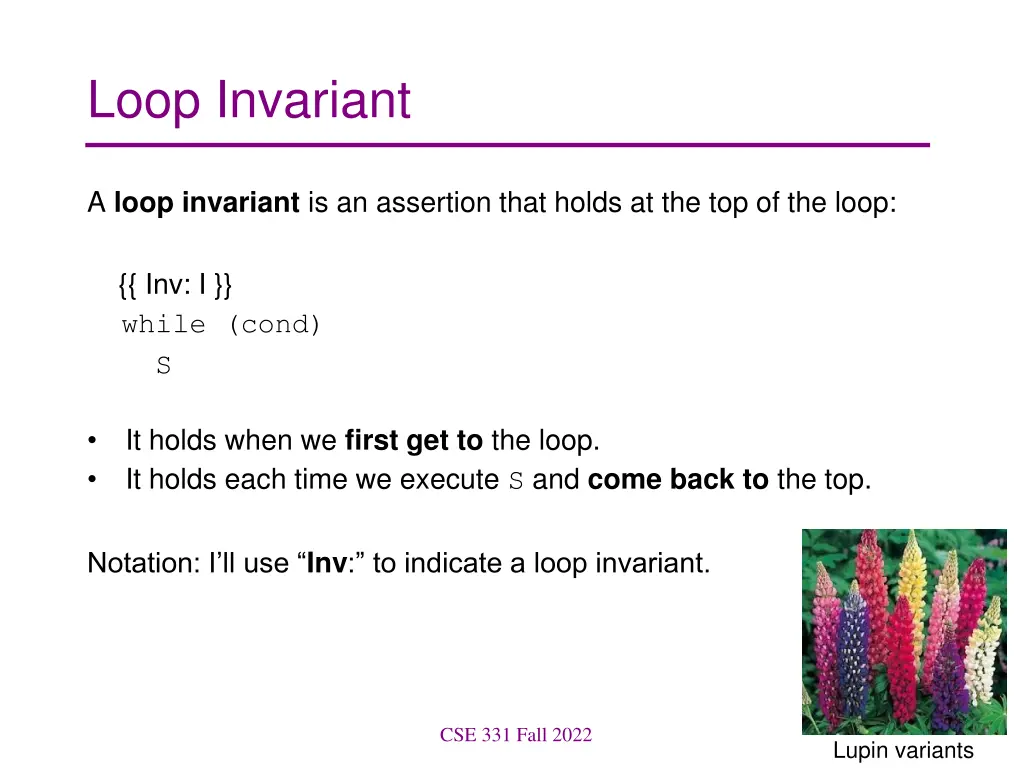 loop invariant