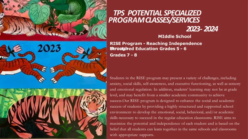 tps potential specialized program classes services