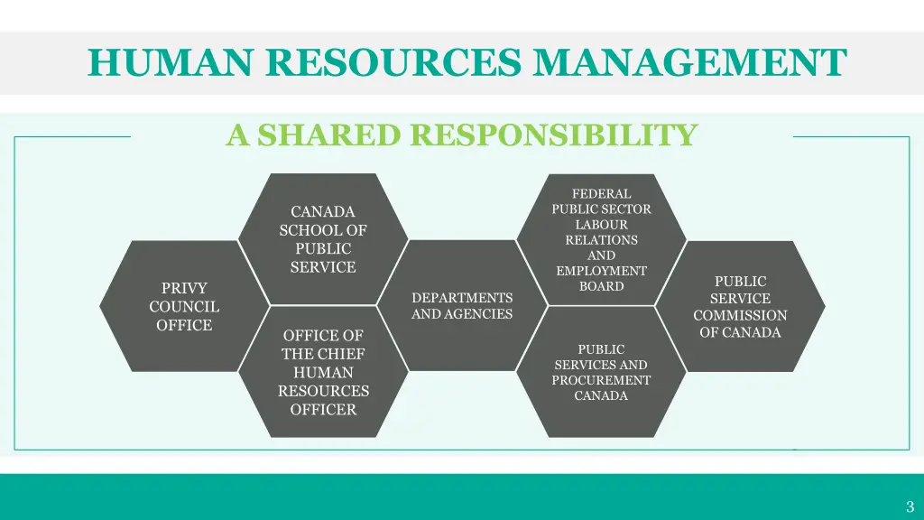 human resources management