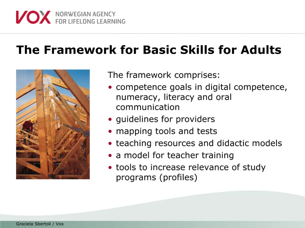 the framework for basic skills for adults