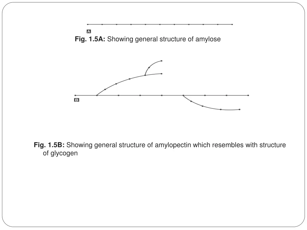 fig 1 5a showing general structure of amylose