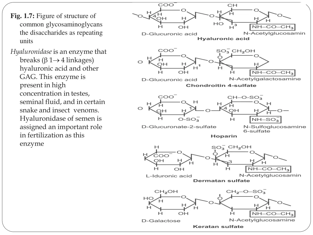 fig 1 7 figure of structure of common